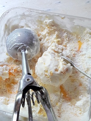 Genius 3-Ingredients Mango Ice cream